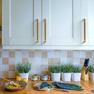 8 Pack 10 Inch(254mm) Antique Brass Kitchen Cabinet Handles